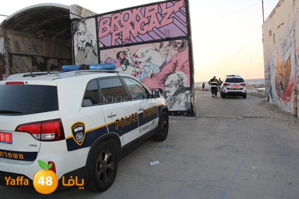 delferaniom3 (10).JPG